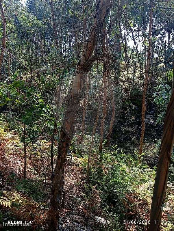 Terreno  para venda - Grande imagem: 2/13