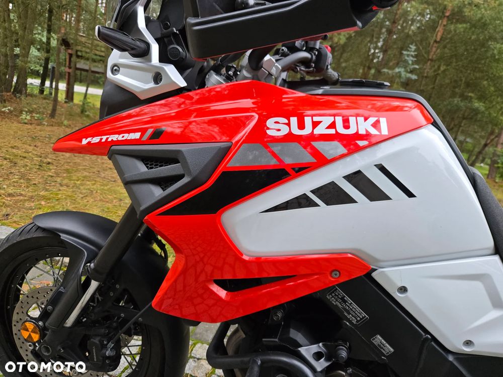 Suzuki V-STROM - 19