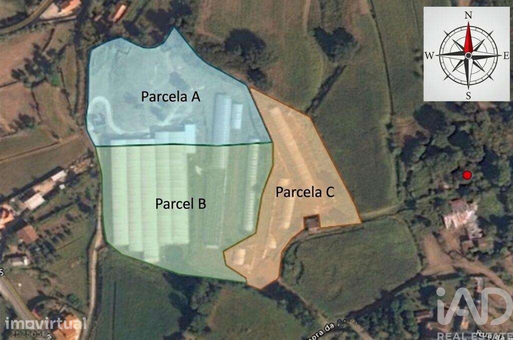 Terreno em Cerdal de 8000,00 m2 - Grande imagem: 2/22