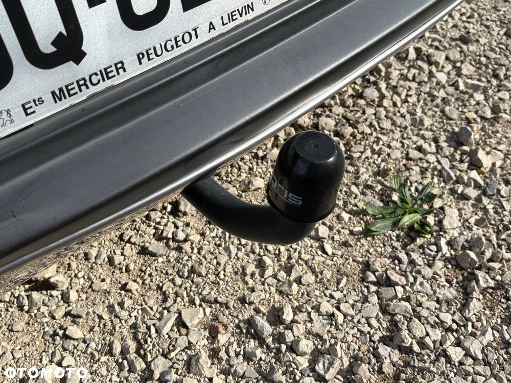 Peugeot 3008 1.6 BlueHDi Crossway S&S - 10