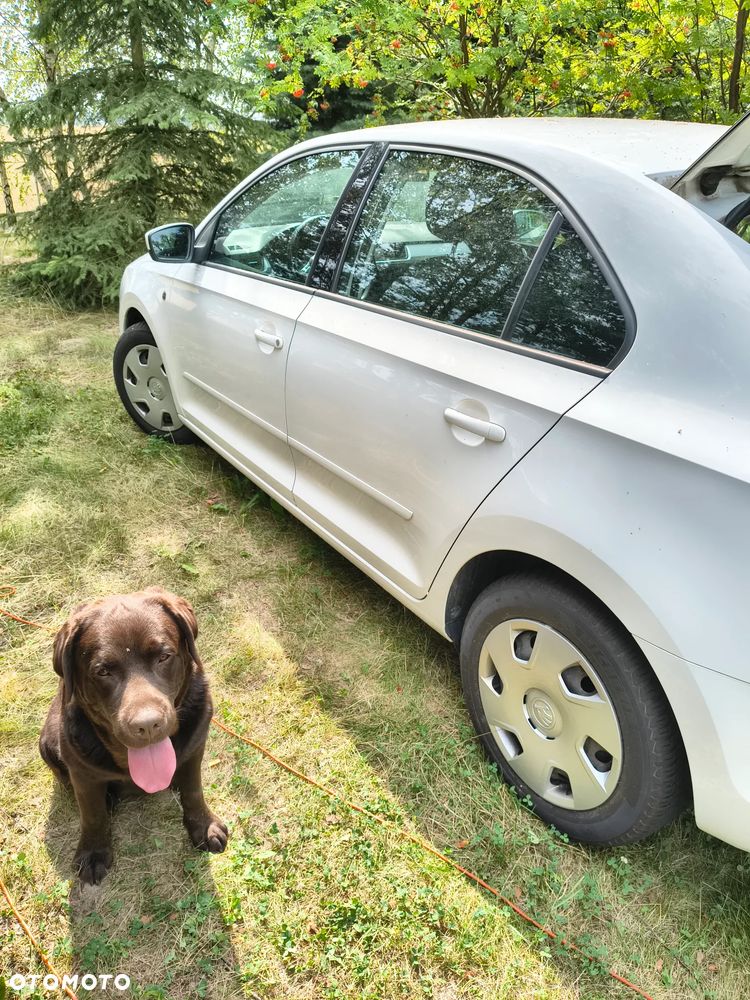 Skoda RAPID 1.2 TSI Active - 4