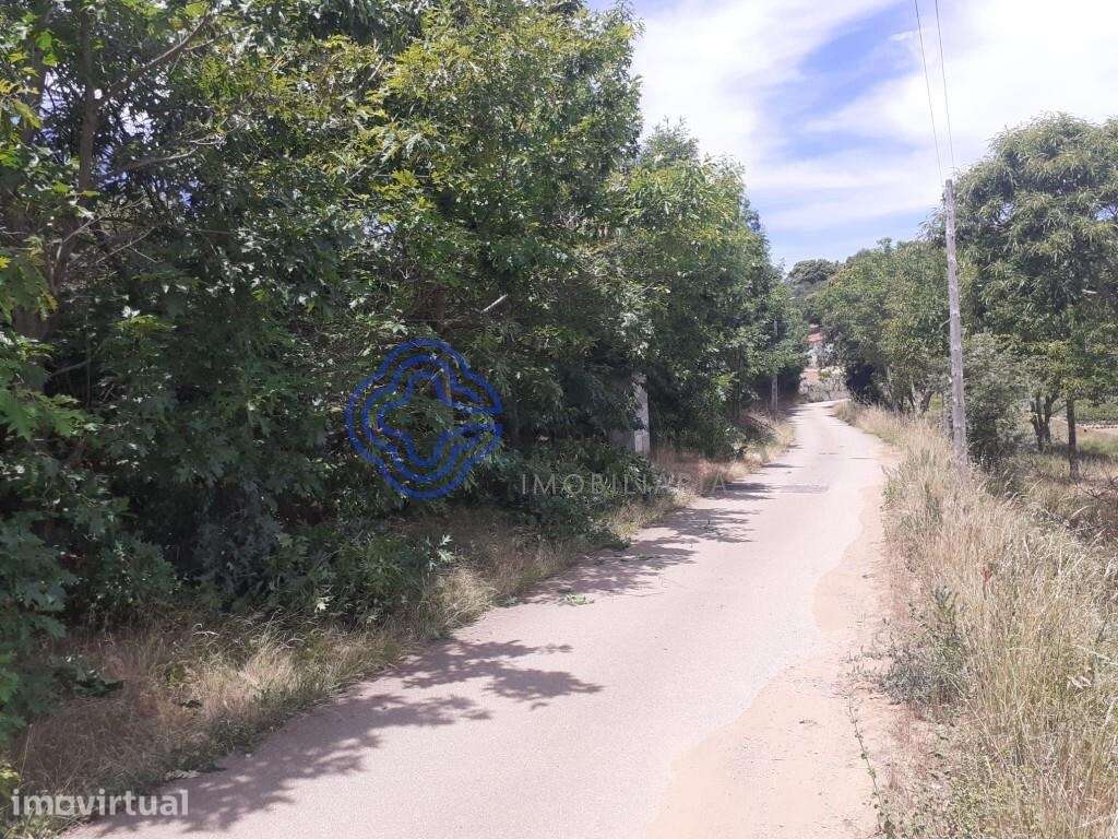 Propriedade em Vinhas distrito de Bragança em plena natureza - Grande imagem: 3/12