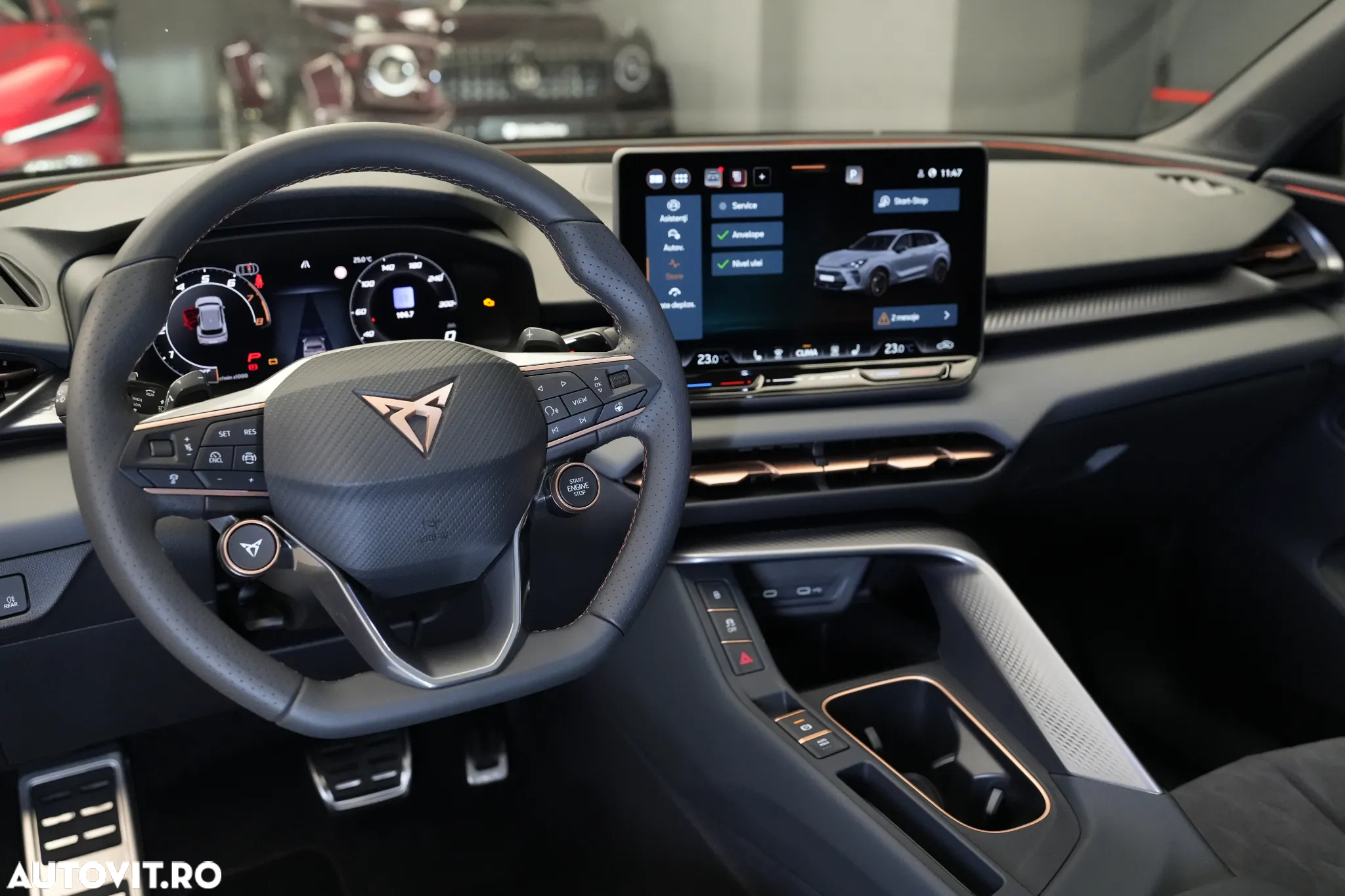 Cupra Terramar - 14