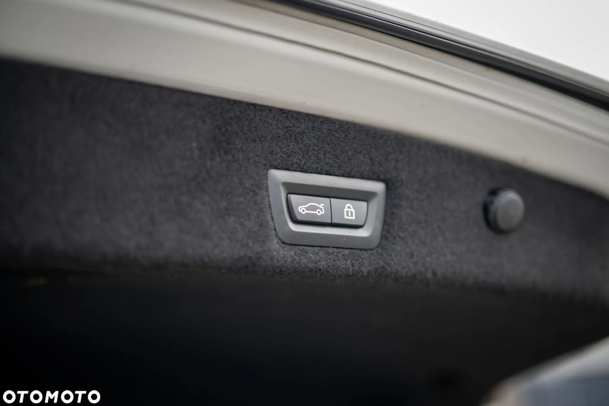 BMW Seria 7 730d - 10