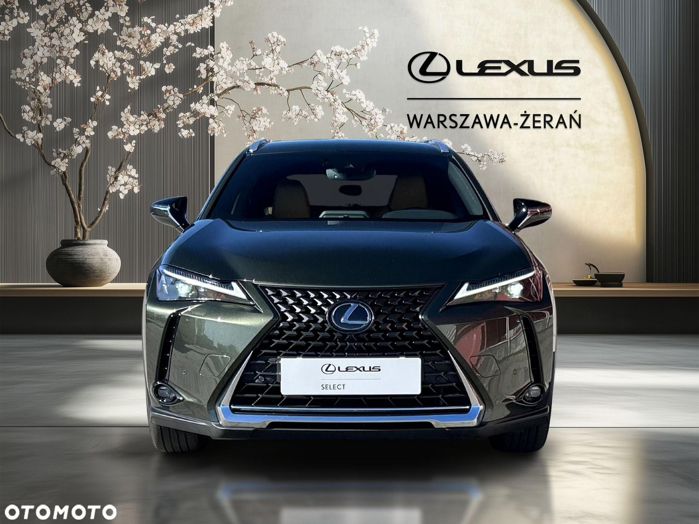 Lexus UX 250h GPF Business 2WD - 10