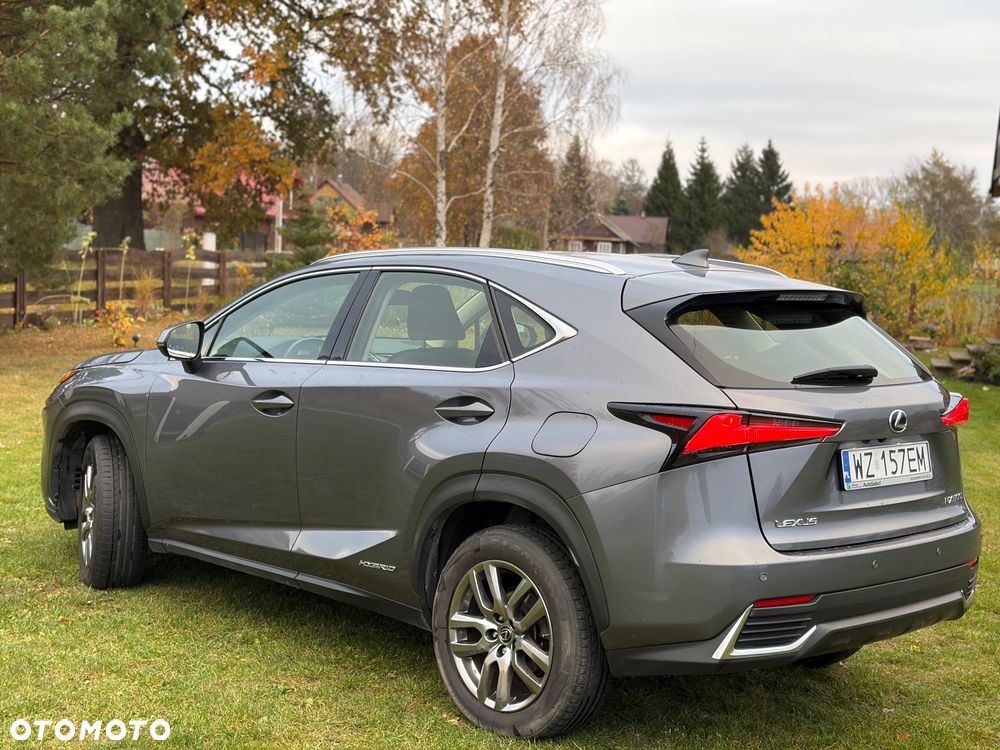 Lexus NX - 14
