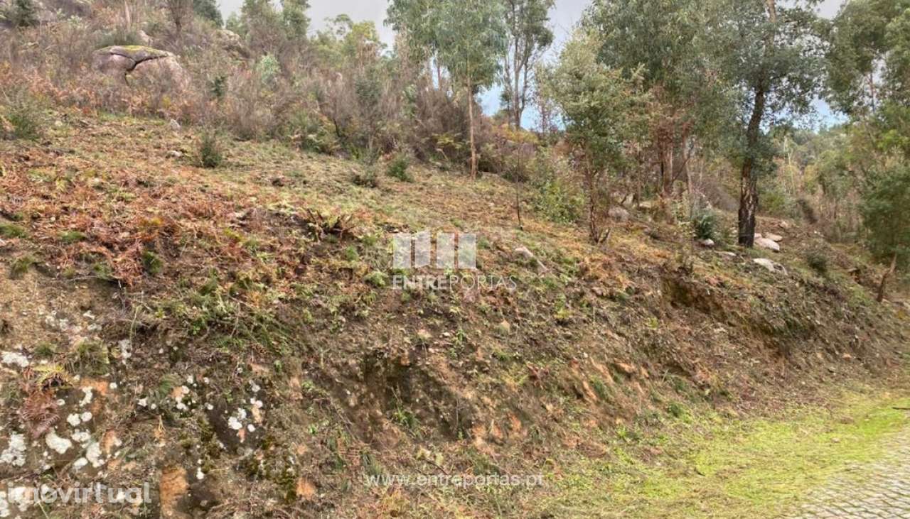 Venda Terreno, Penha Longa, Marco de Canaveses - Grande imagem: 4/25