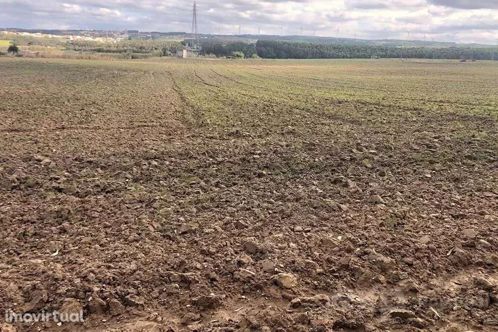 Terreno Rústico de 14.000 m² na Vila de Atouguia da Baleia - Grande imagem: 3/23
