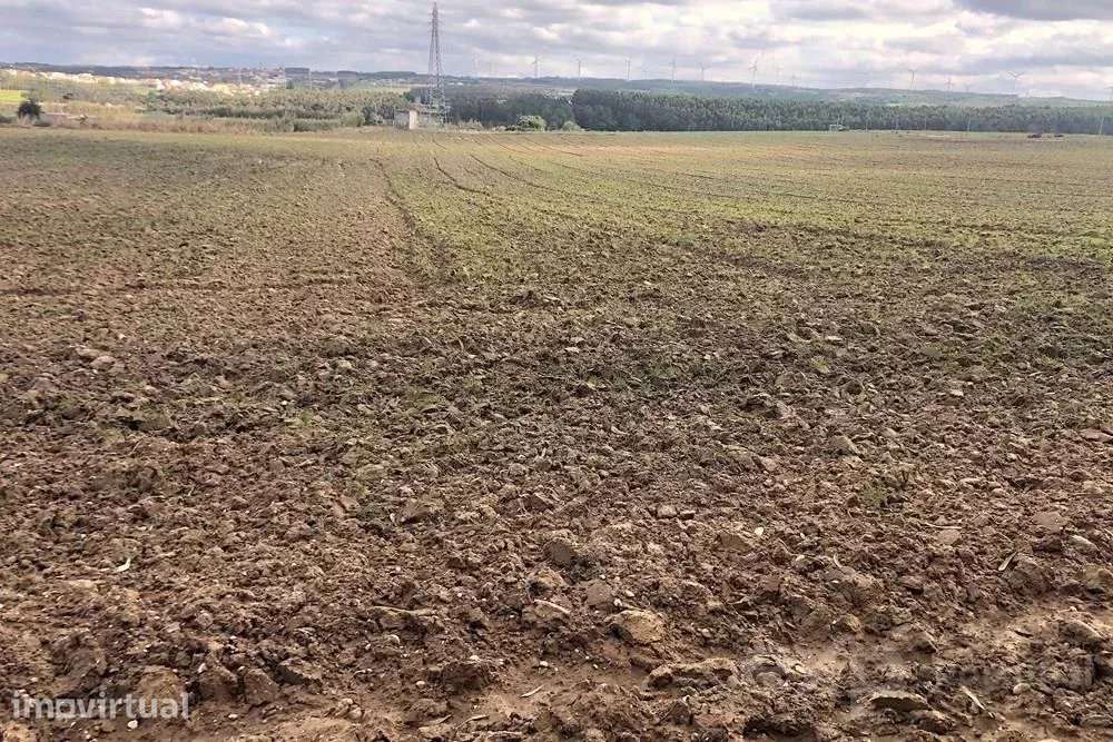 Oásis Rural: Terreno Rústico de 14.000 m² na Encantadora Vila de Atoug - Grande imagem: 3/23