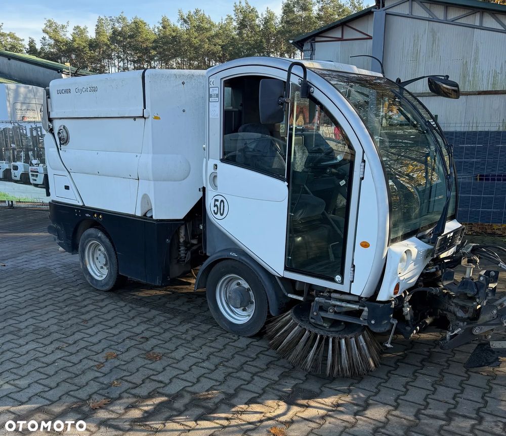 Inny City Cat 2020 - 1