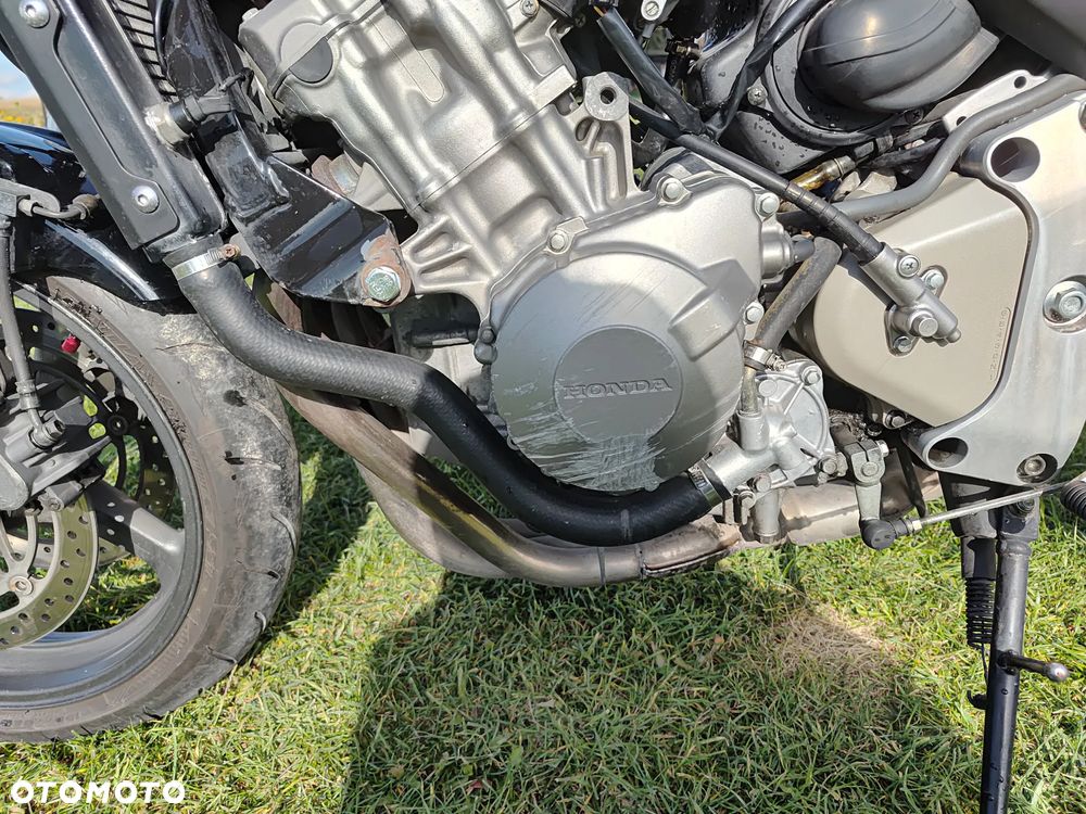 Honda Hornet - 19