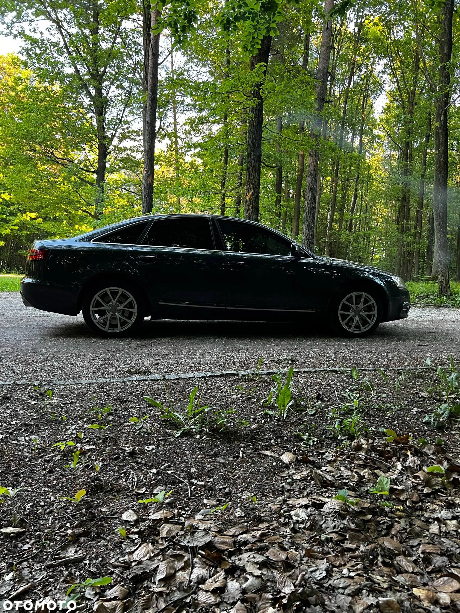 Audi A6 - 6