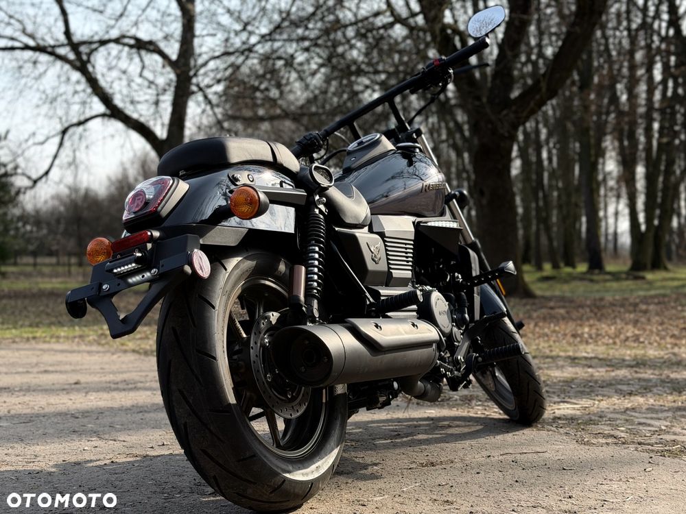 UM Renegade Freedom - 7