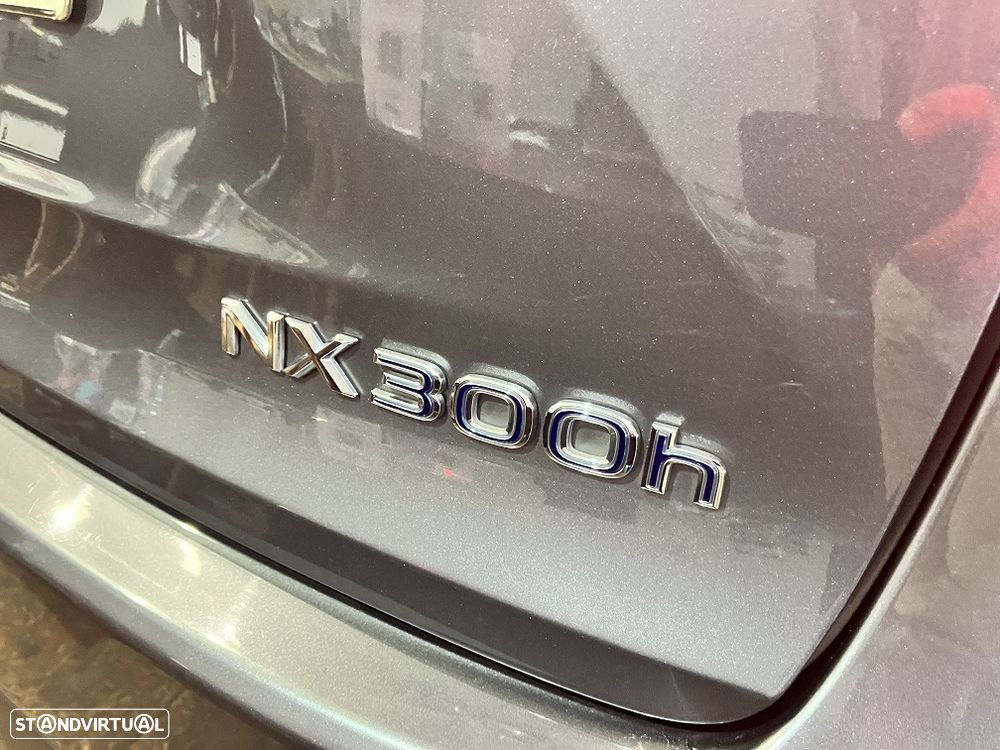 Lexus NX 300h Executive Plus - 14
