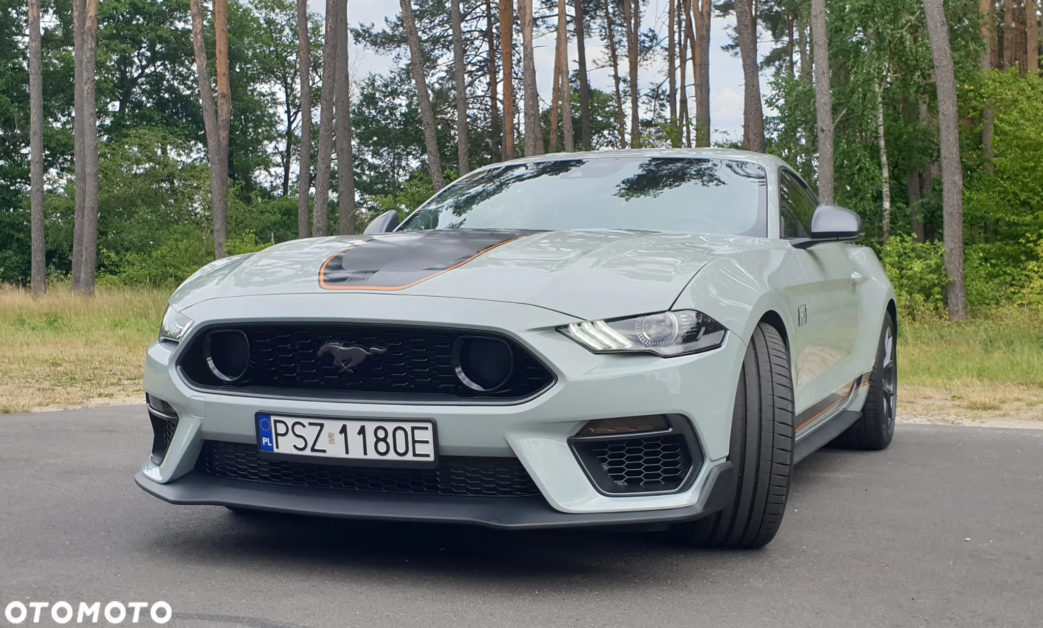 Ford Mustang - 14