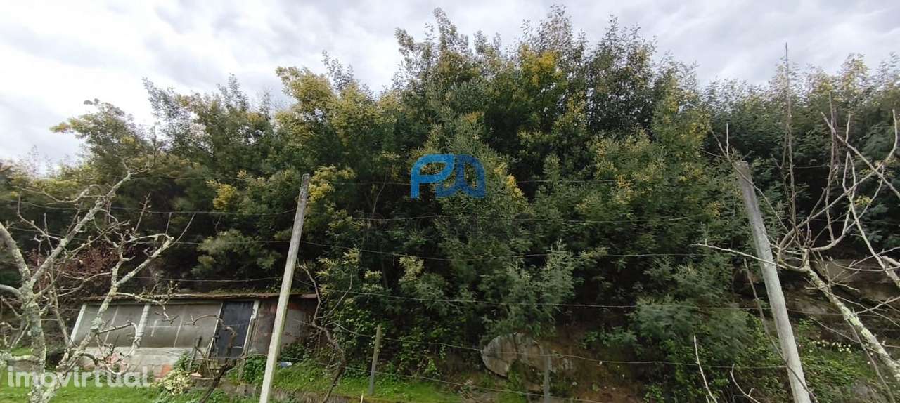 Terreno Rústico com 3.877 m² – Vistas Rio e Serra - Grande imagem: 4/15