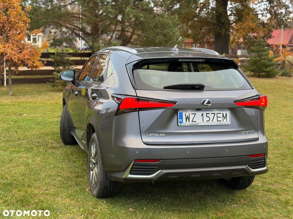 Lexus NX - 15