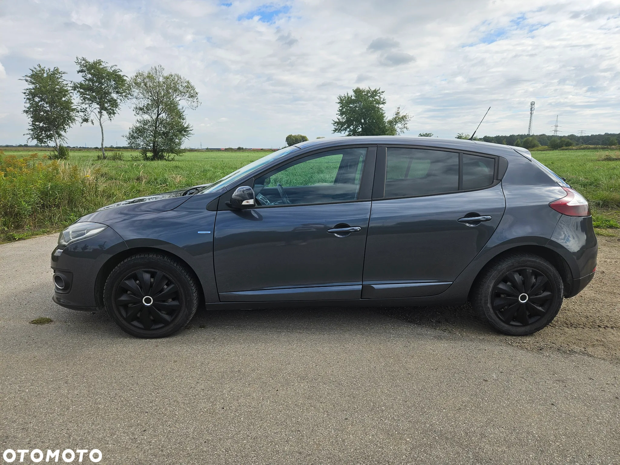 Renault Megane 1.6 16V Limited - 6