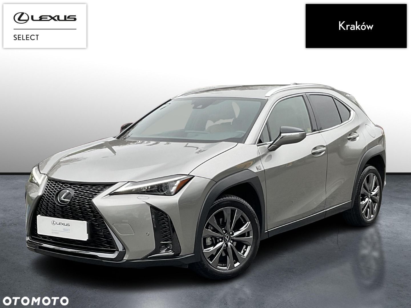 Lexus UX 250h GPF F Sport Design 2WD - 1