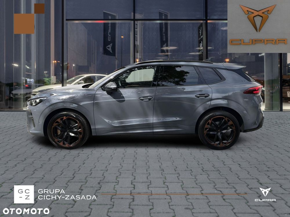 Cupra Terramar - 2