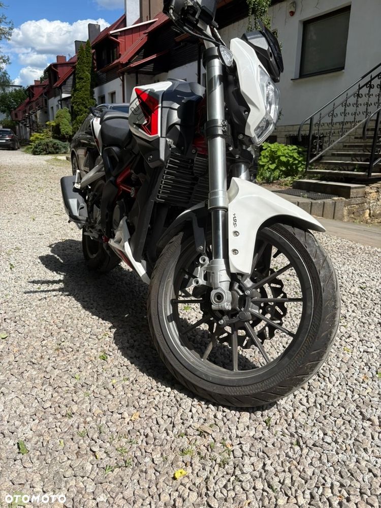Benelli BN 251 - 8