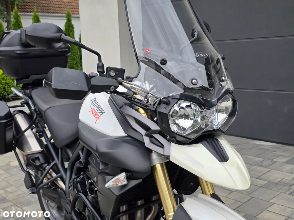 Triumph Tiger - 5