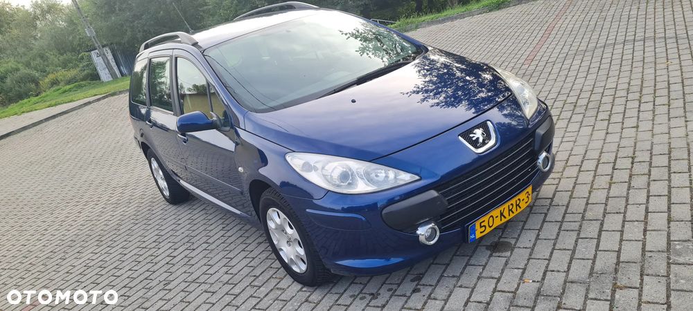 Peugeot 307 110 Premium - 17