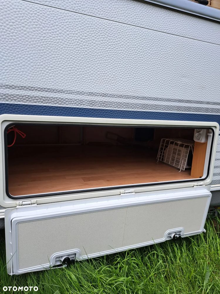 Wilk SPORT 490 - 2