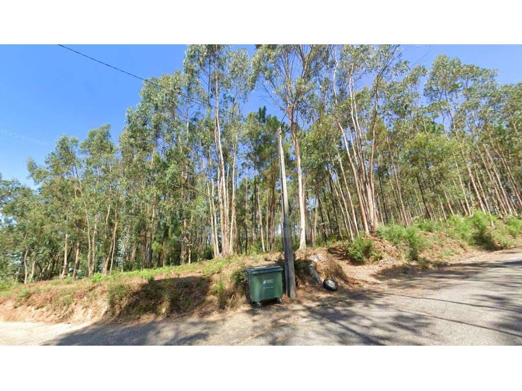 Terreno em S. Vicente de Pereira - Grande imagem: 3/6