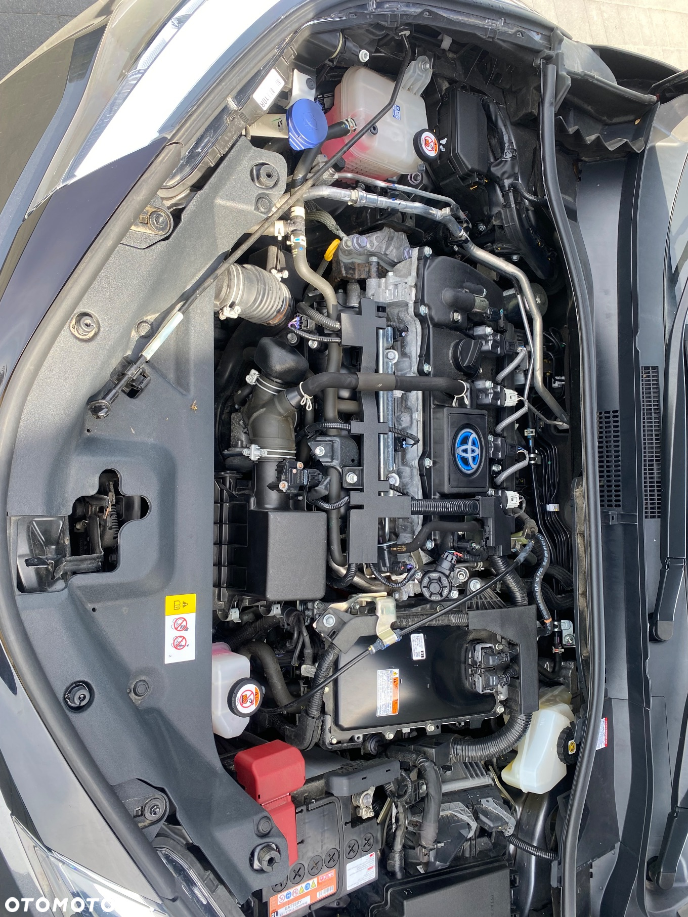 Toyota C-HR 1.8 Hybrid Business Edition - 12