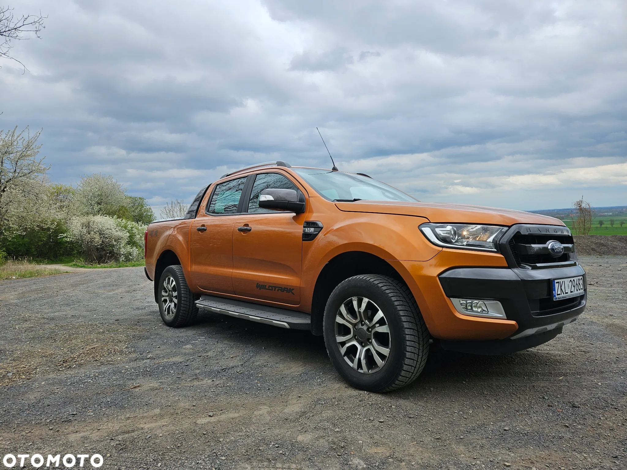 Ford Ranger 3.2 TDCi 4x4 DC Wildtrak EU6 - 2