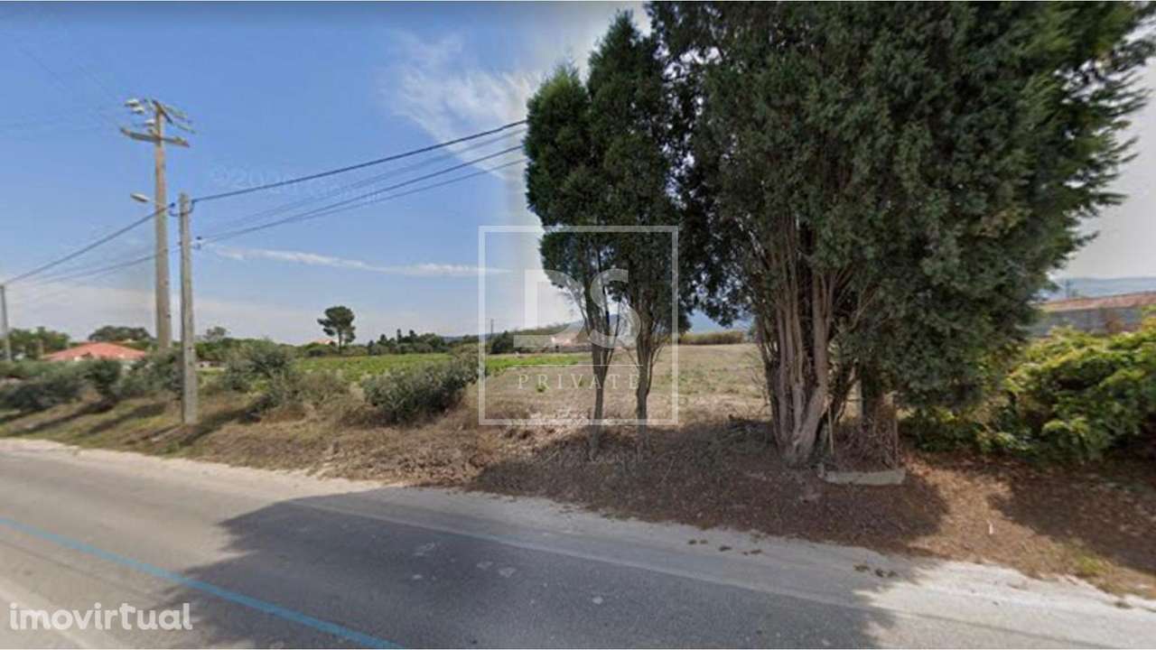 Terreno  Venda em Juncal,Porto de Mós - Grande imagem: 4/4