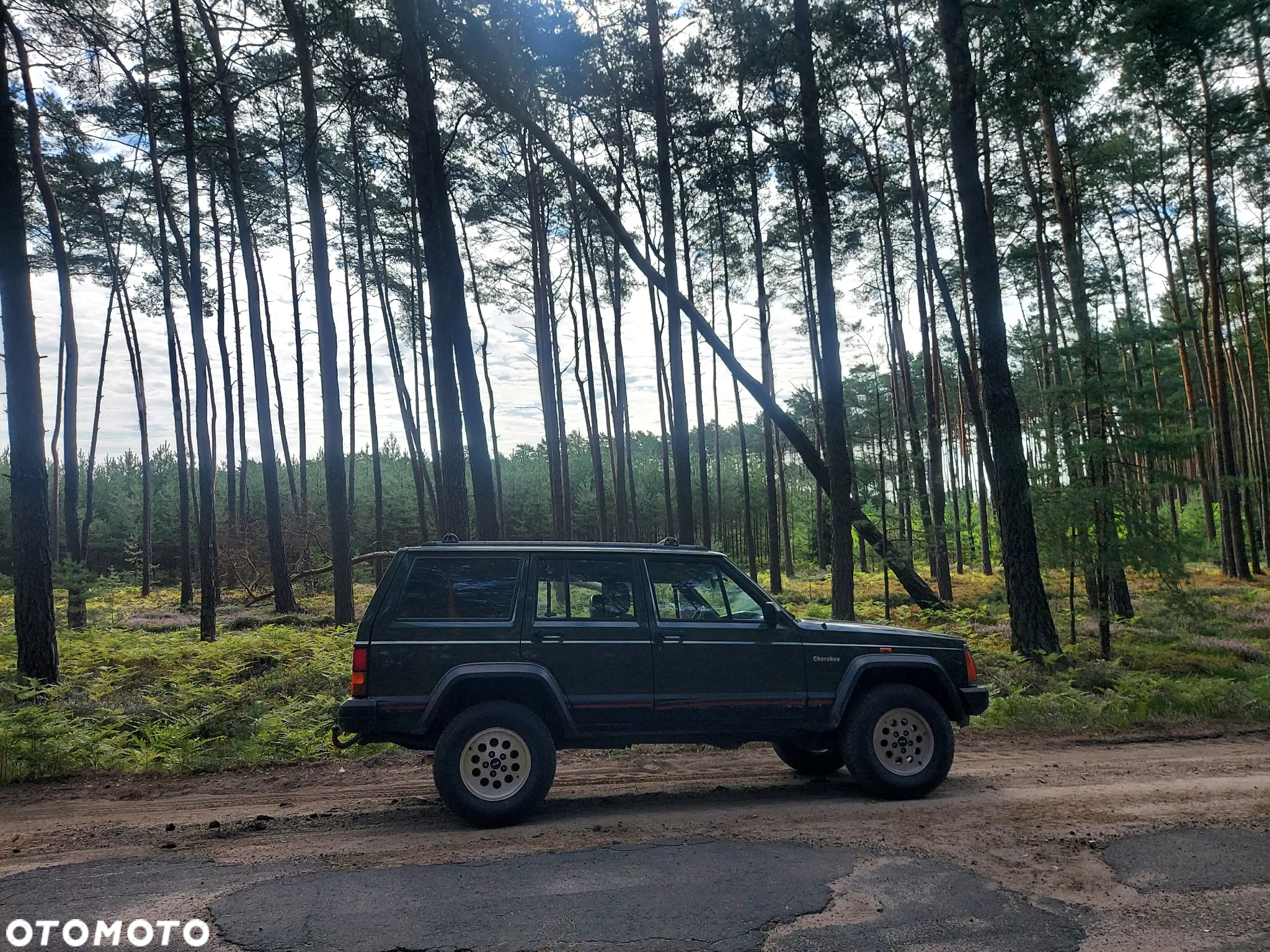Jeep Cherokee 2.5 TD - 7