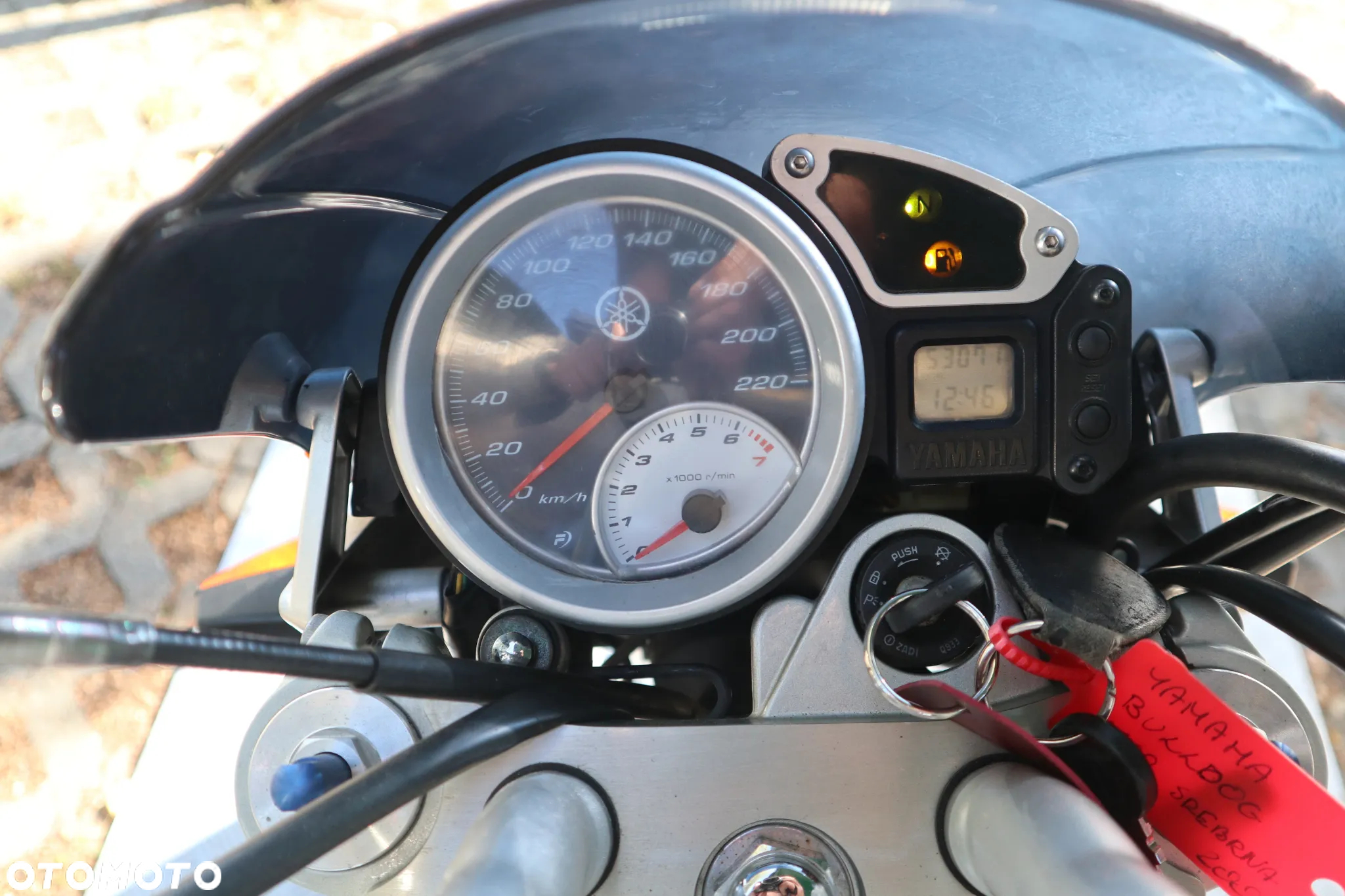 Yamaha Bulldog - 5