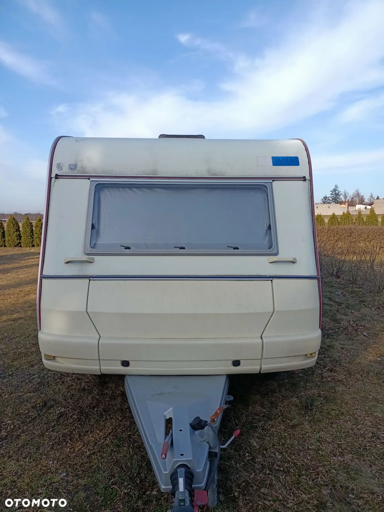 Wilk stern 470 - 14