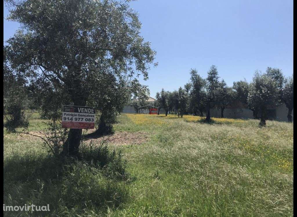 Terreno C/ Possibilidade de Construção - Grande imagem: 3/4