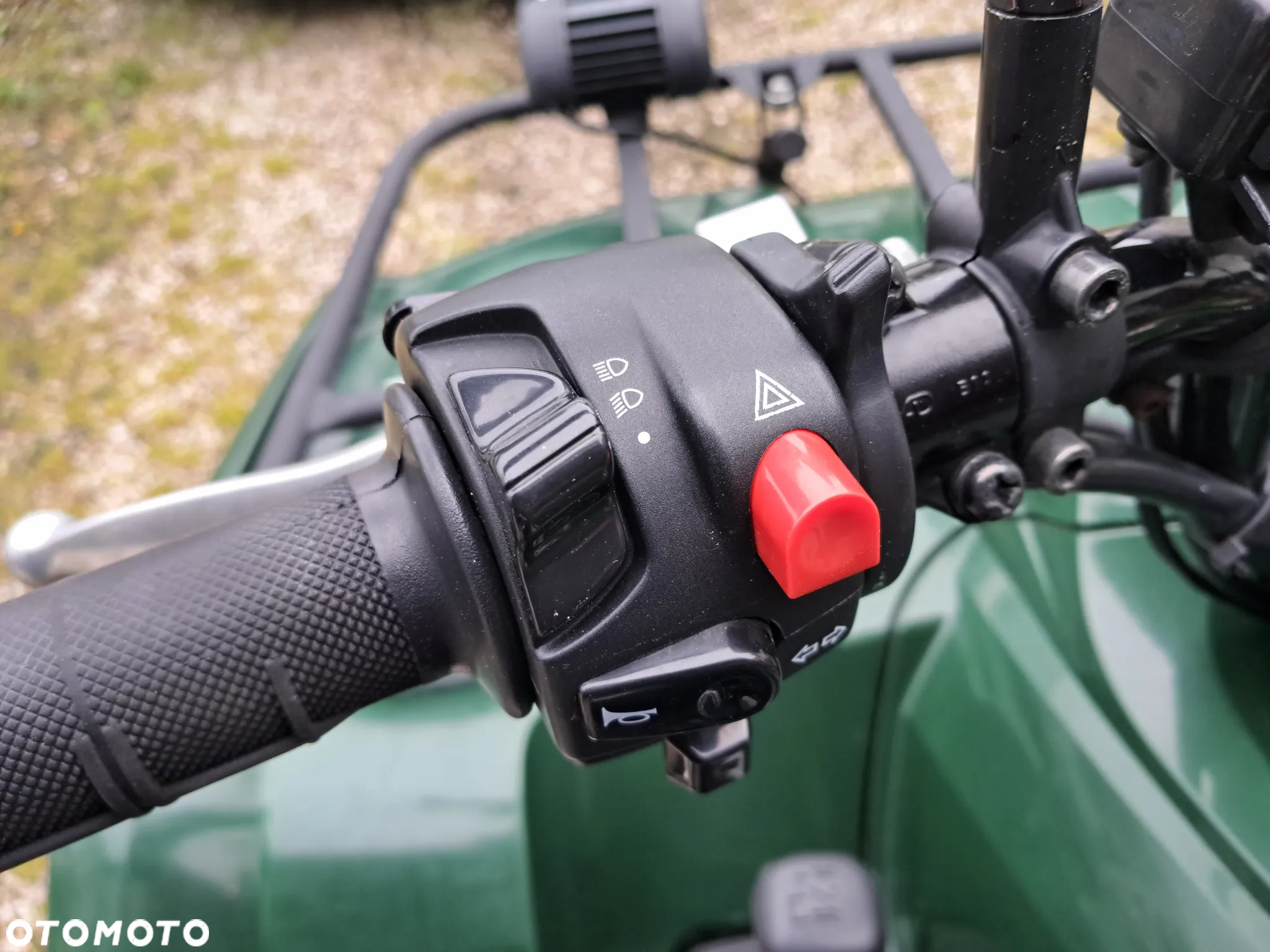 Yamaha Grizzly - 8