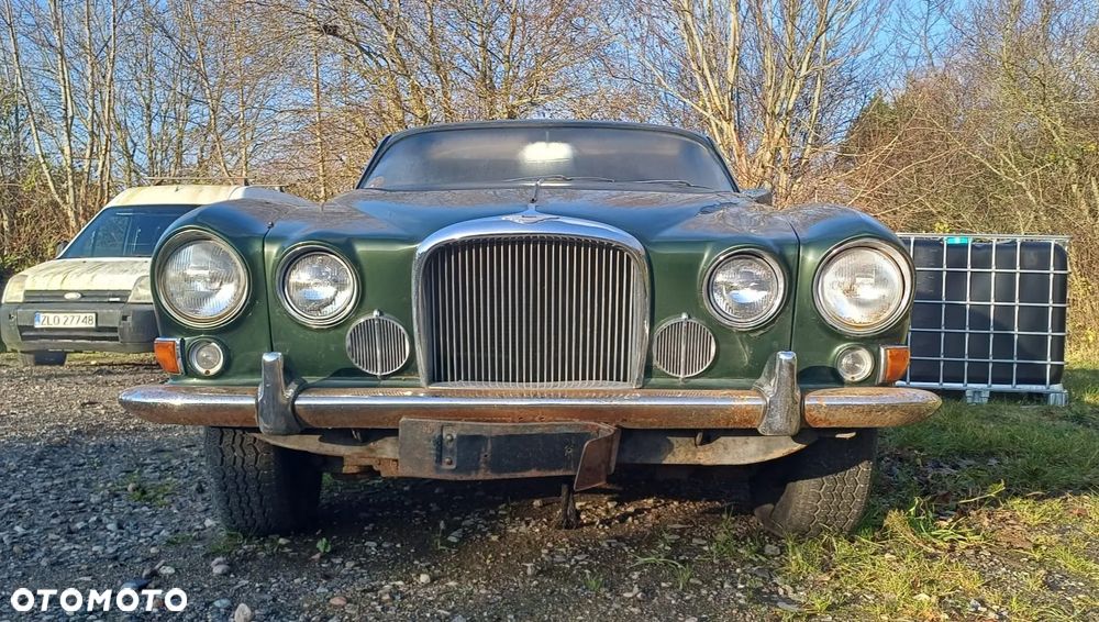 Jaguar Inny - 2