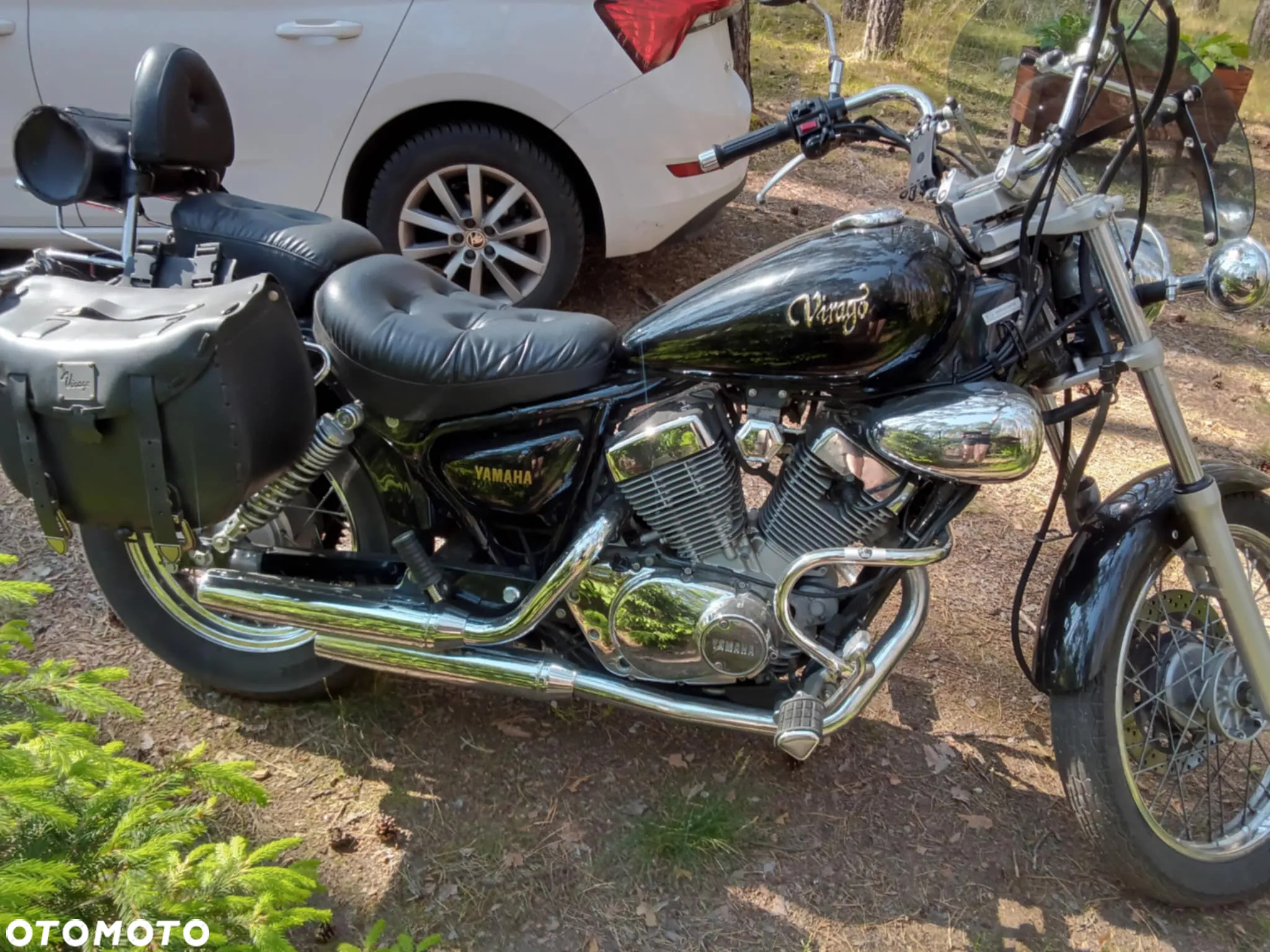 Yamaha Virago - 6