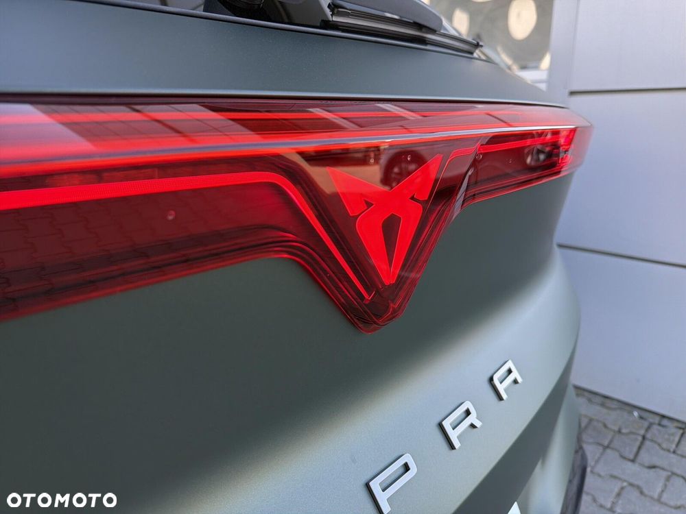 Cupra Terramar - 15