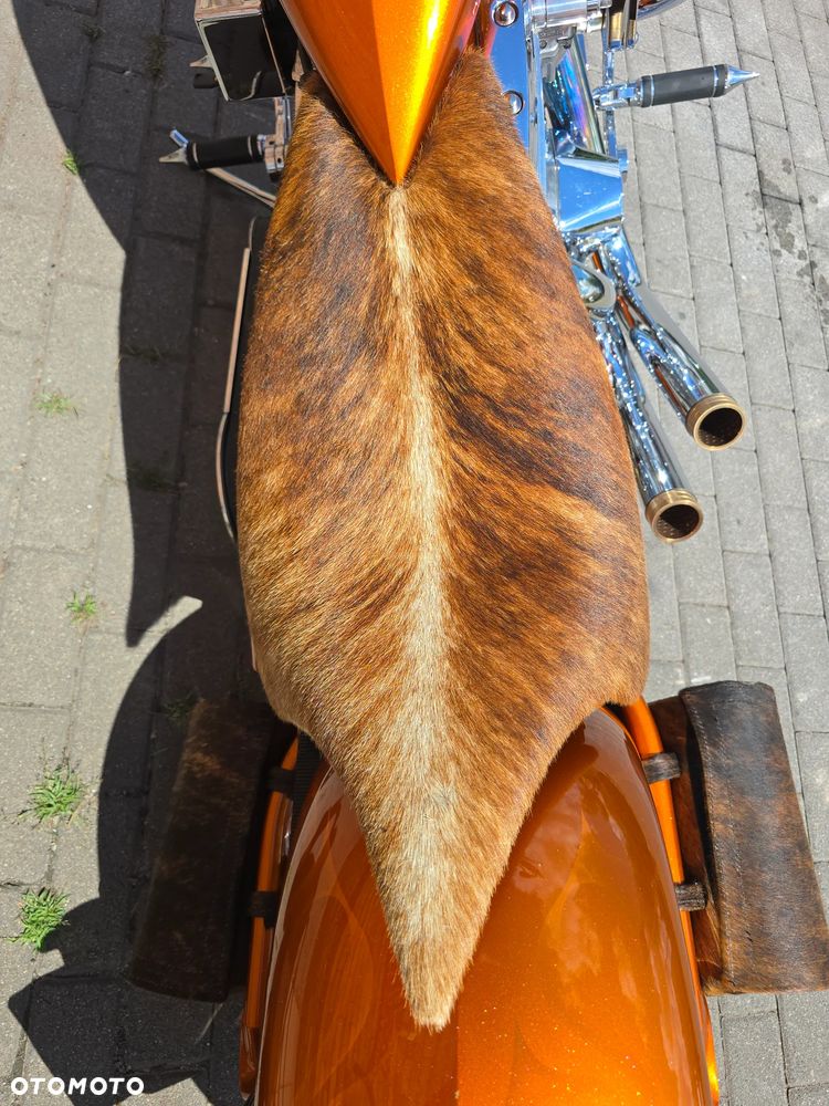 Harley-Davidson Inny - 12