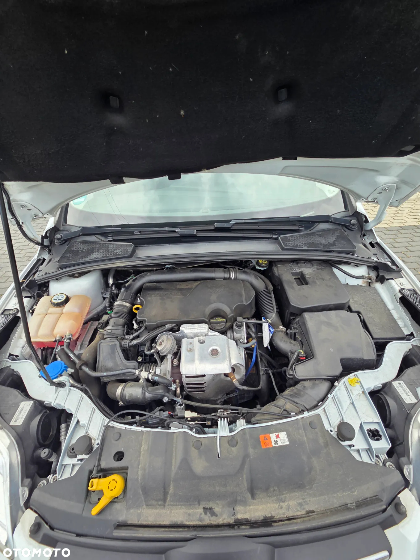 Ford Focus 1.0 EcoBoost 99g Edition Start - 8