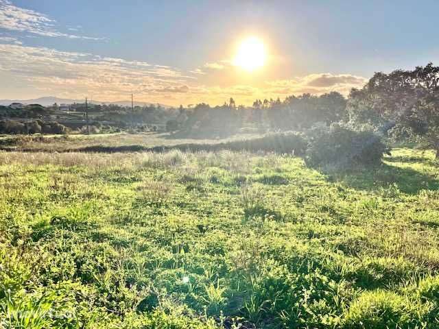 excelente oportunidade, venda de terreno, em mafra - Grande imagem: 2/8