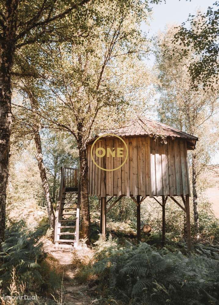 Propriedade Agro Turismo em Viade de Baixo, Montalegre c vista p a alb - Grande imagem: 5/57