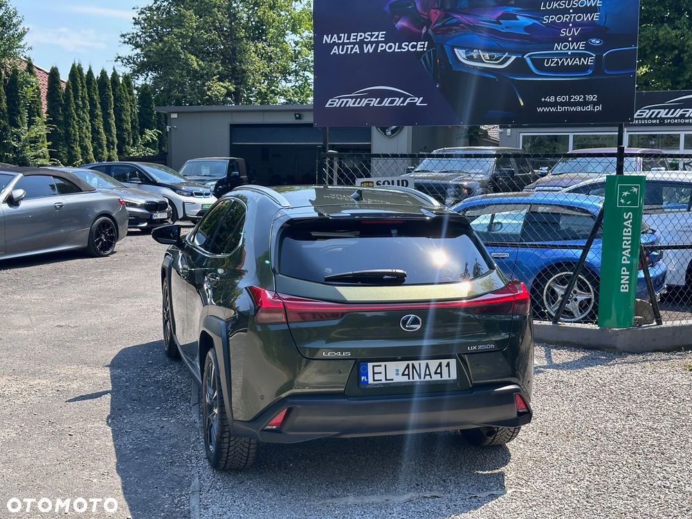 Lexus UX 250h Business Edition - 7