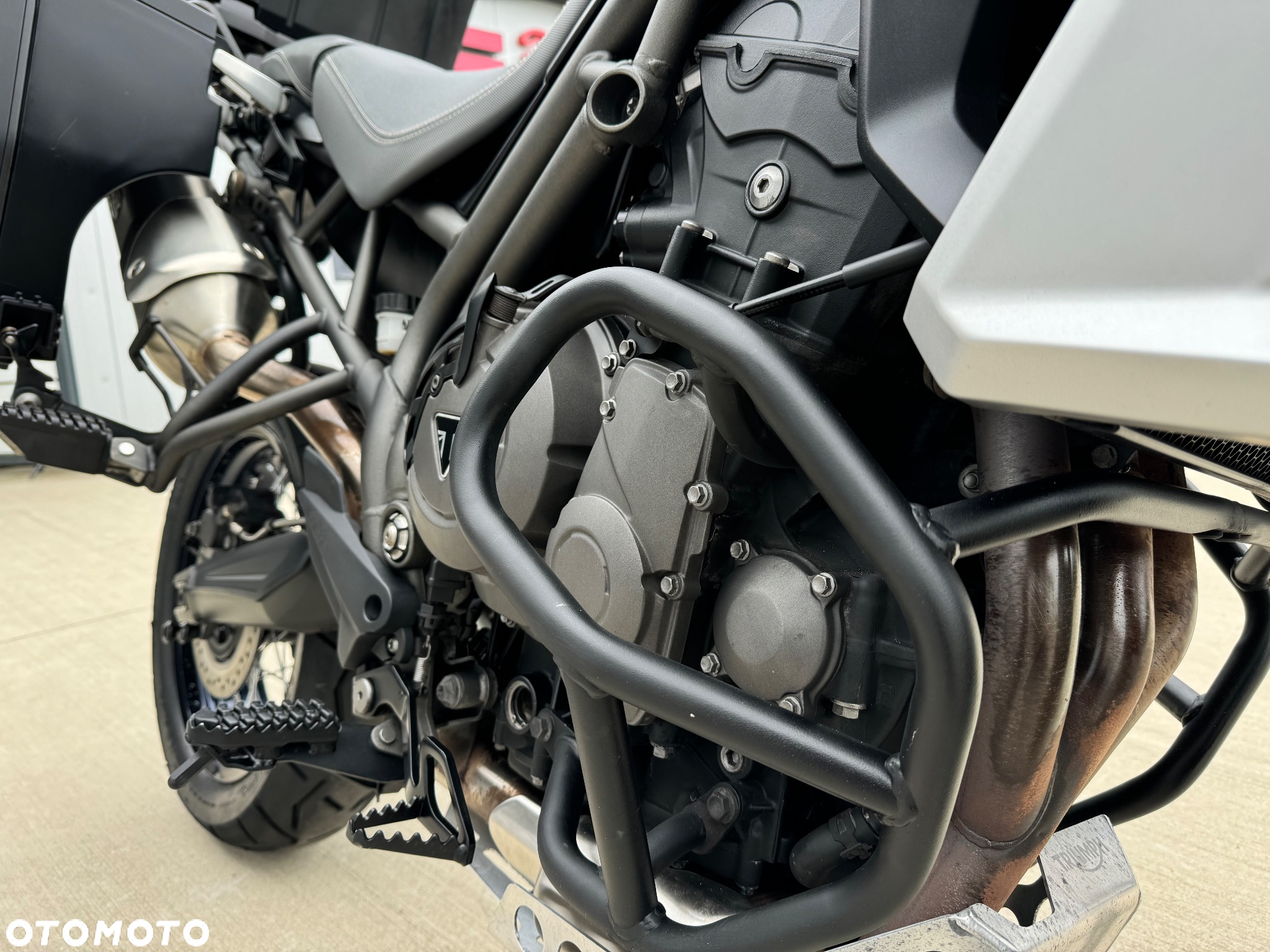 Triumph Tiger - 17