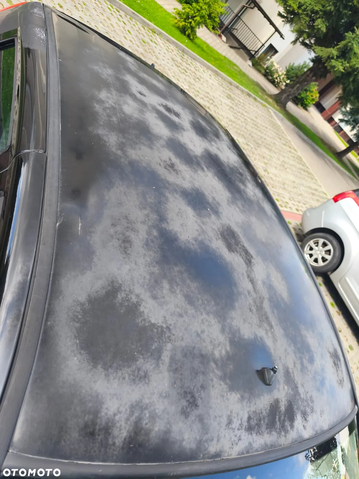 Fiat Punto - 17