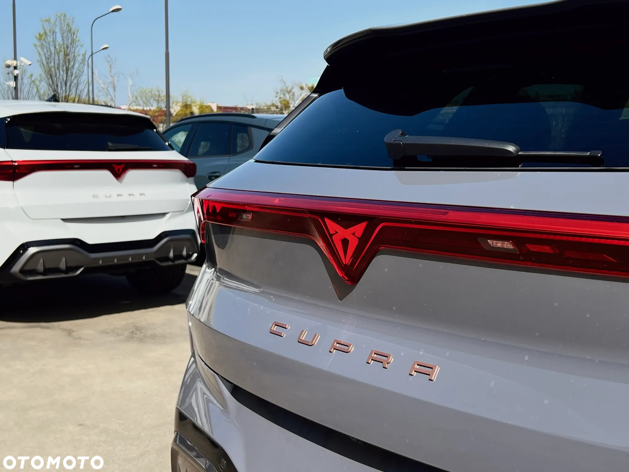Cupra Terramar 2.0 TSI 4Drive DSG - 8
