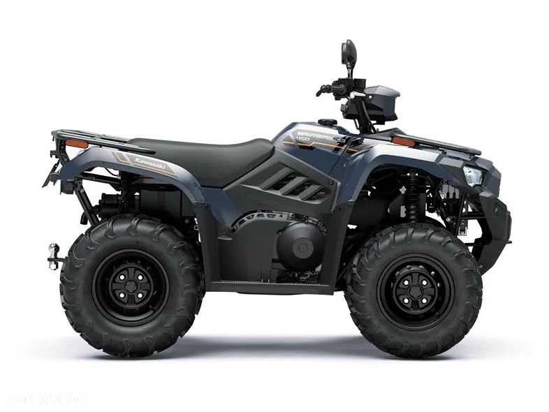 Kawasaki Brute Force - 7