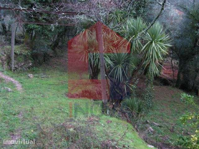 Quinta em Covas - Grande imagem: 3/6